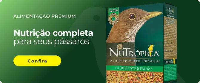 Nutrição completa para seus pássaros
