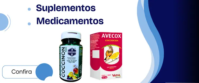 Suplementos e Medicamentos