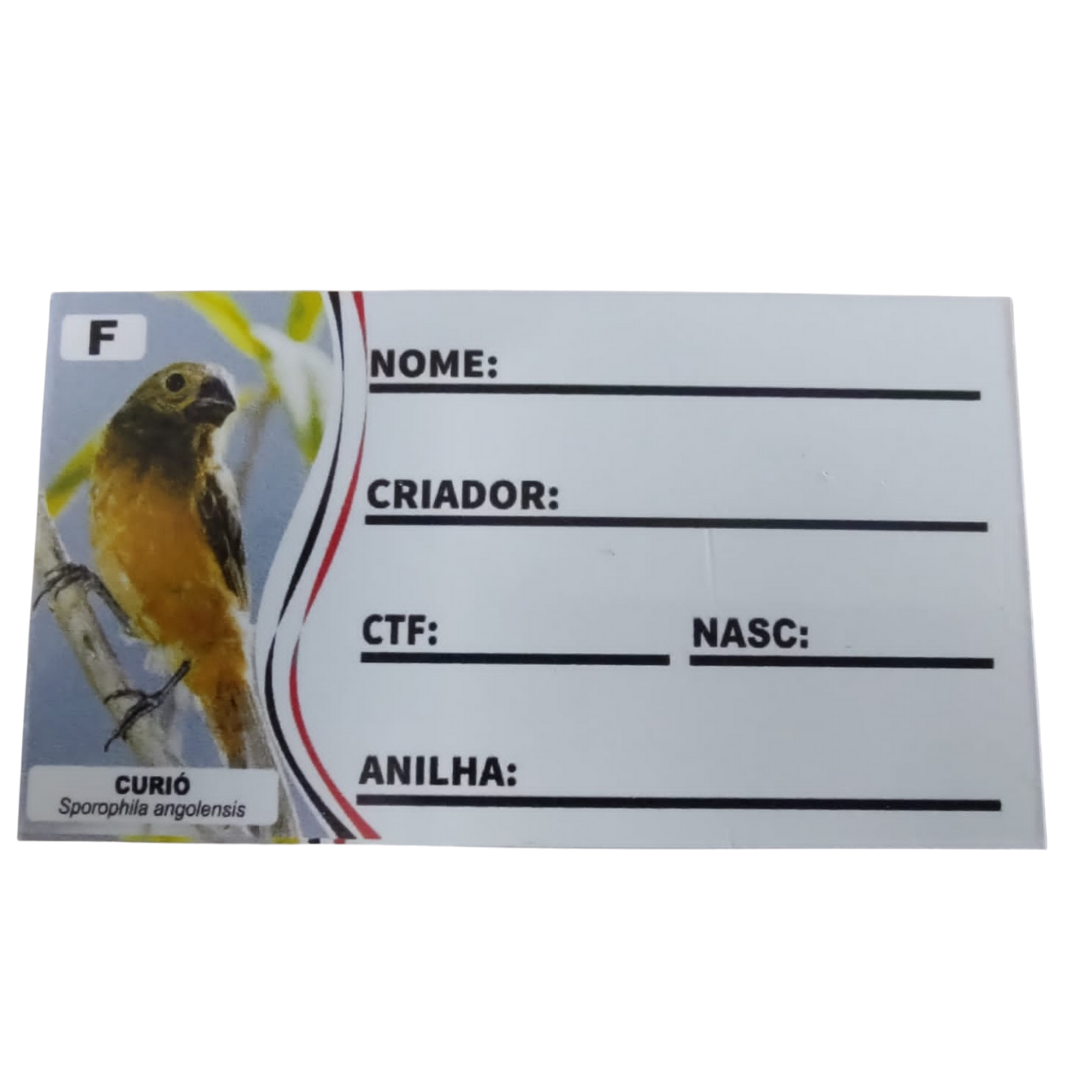 PLACA DE IDENTIFICAÇÃO PVC - COLEIRO BAIANO - FÊMEA