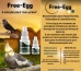 FREE-EGG - 10 ML - JaasLab
