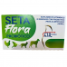 SETA FLORA (PROBIÓTICO) SACHES - 1 g