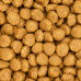 NUTR&Oacute;PICA PAPAGAIO DO CONGO NATURAL - 2,5 KG