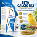 SETA C&Aacute;LCIO B12 - 15 ML
