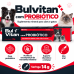 BULVITAN PROBIÓTICO 14 g