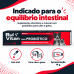 BULVITAN PROBIÓTICO 14 g